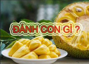 Mơ thấy quả mít đánh con gì? Đánh đề đánh lô dễ trúng qua giấc mơ